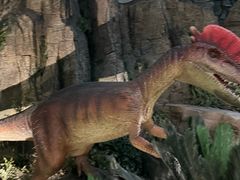 -陕西自然博物馆