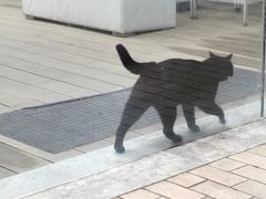 -UNI UNI(环亚凯瑟琳店)