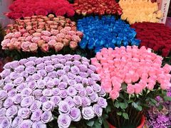 -越秀西湖花市(广州城市广场花卉店)