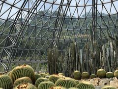 -深圳仙湖植物园