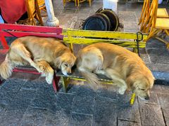 -八木轩·寻味大理白族民俗餐厅(文献路店)