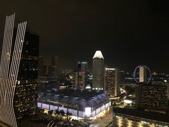 -新加坡瑞士史丹福酒店