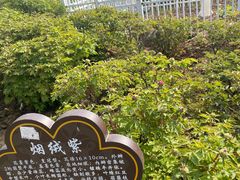 -洛阳市隋唐城遗址植物园