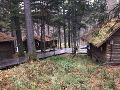 -五营红松林海景区