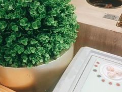 -呷哺呷哺(望京新世界店)