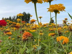 -长春世界雕塑园冰雪艺术天地