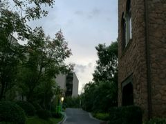 -上海崇明金茂凯悦酒店