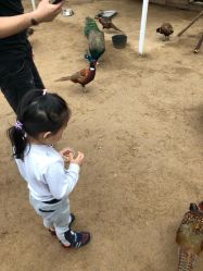 -萌宠亲子动物乐园(槐房万达店)