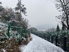 -树山生态村