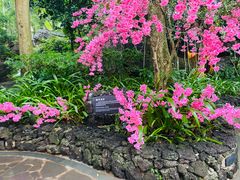 -海口观澜湖火山温泉谷