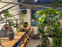 -自由生长植物工作室(深港花卉中心店)