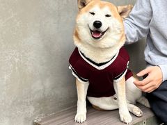 -Again Coffee Roaster(香蜜湖店)