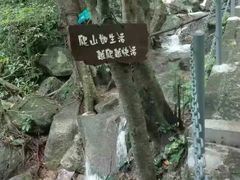 -七仙岭温泉国家森林公园