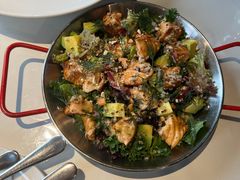 -百好乐宠物友好餐厅(朝外大街店)