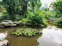 -龙头寺公园