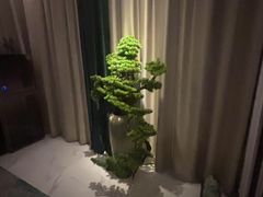 -和里合·颜愈SPA·Relax瑶浴·Massage(石厦店)