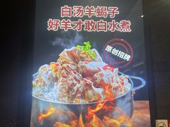 -浩爷羊蝎子火锅(望京店)