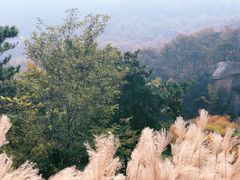 -沂蒙山旅游区云蒙景区(蒙山国家森林公园)