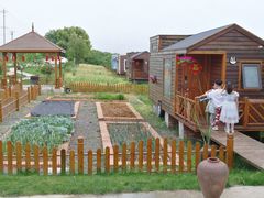 -龙湖东院农庄(乡间小路店)