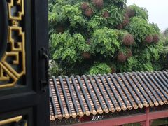 -碧江金楼