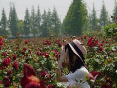 -上海长兴岛郊野公园