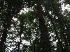 -龙峪湾国家森林公园