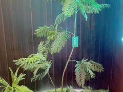 -拾捌川·自贡爆炒(新街口店)