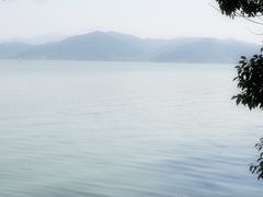 -晓琦农家菜馆·地道农家菜