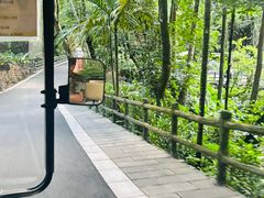 -七仙岭君澜度假酒店