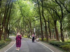 -东湖落雁景区