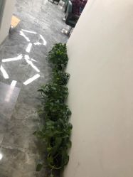 -V8潮牌·接发烫染连锁