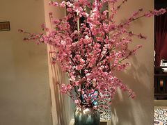 -東大方(安吉灵芝店)
