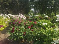 -莲花池公园