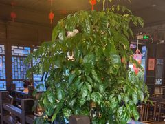 -香满楼(临安路店)