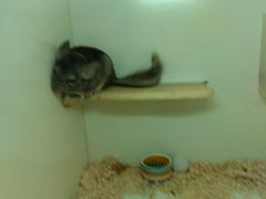 -龙猫仔乐园(惠福东路店)