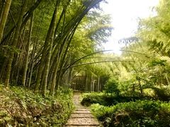 -东天目山风景区