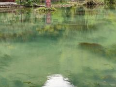 -靖西鹅泉风景区