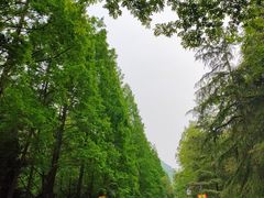 -青城山