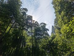 -莫干山风景区