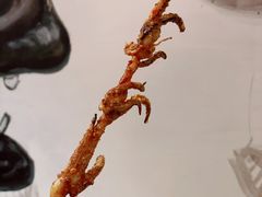 鱿鱼须-铁人烧烤(北京店)