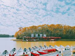 -上海海湾国家森林公园