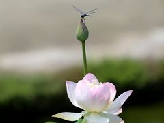 -颐和园