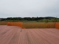 -莲花山花海