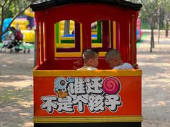 -1982农场
