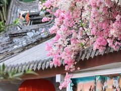 -深圳国际园林花卉博览园