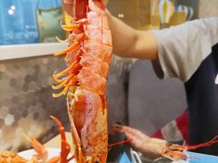 阿根廷红虾-金环海鲜自助(大坪时代天街店)