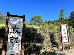 -塔川景区