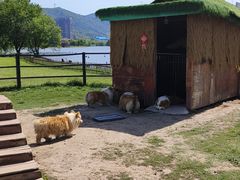 -长兴太湖图影湿地文化园