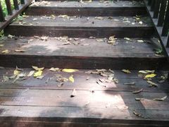 -天女山森林公园