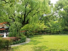 -申粤轩酒楼·三十年粤菜经典(丁香花园店)